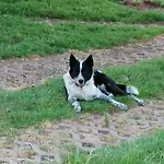 Putzke Stadtilm