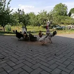 Putzke