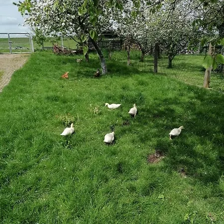 Putzke Vakantiehuis Stadtilm