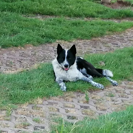 Putzke Stadtilm
