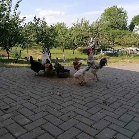 Putzke