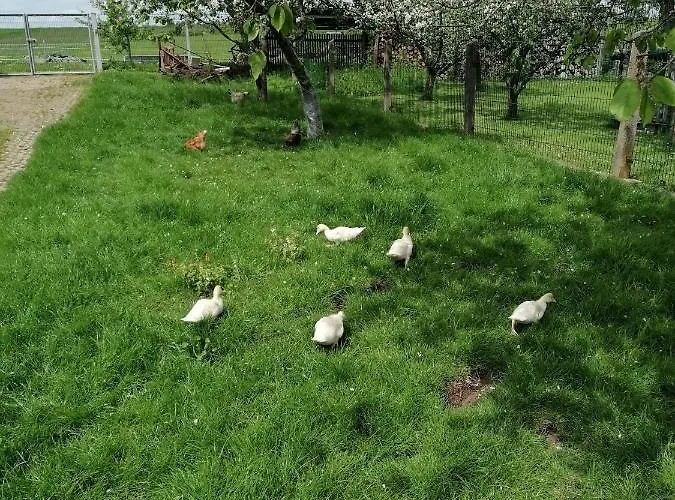 Putzke Vakantiehuis Stadtilm