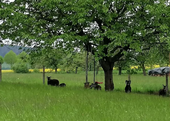 Putzke Vakantiehuis Stadtilm